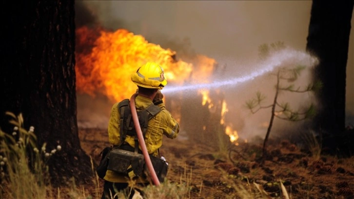 California’daki orman yangınlarına elektrik hattından sıçrayan çakın bozukluk olmuş
