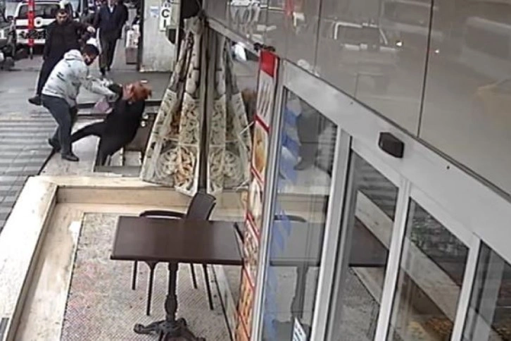 İstanbul’da kıskanç koca dehşeti kamerada: Yumrukladığı karısını merdivenlerden yuvarladı