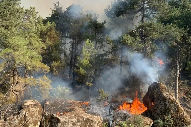 Karpuzlu'da orman yangını