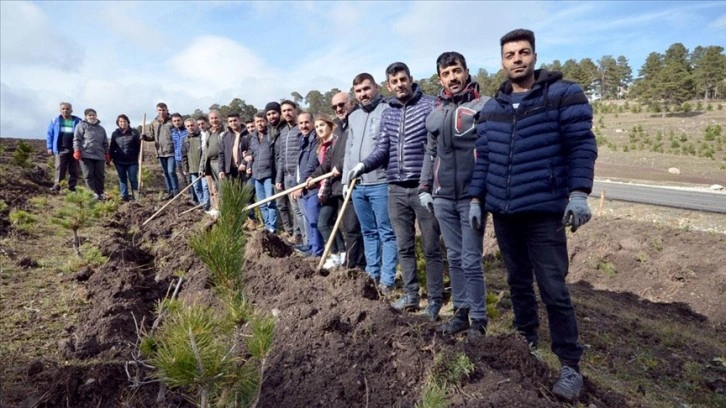 Kars'ta ayrımsız lisenin mezunları 1000 fidanla hatırat ormanı oluşturdu