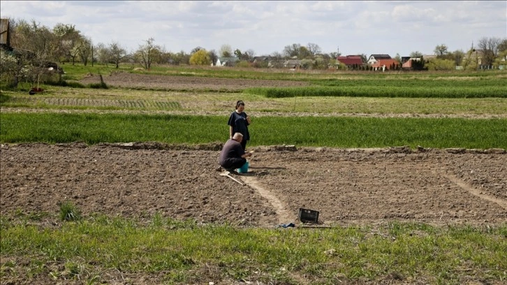 Ukrayna'nın Lipivka köyünde Rus saldırılarının arkası sıra ürün ekimine başlandı