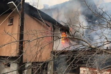 Artvin’de çıkan yangında 2 ev kül oldu