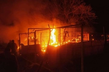 Çiftlik alev alev yandı, 160 küçükbaş hayvan akıbet anda kurtarıldı