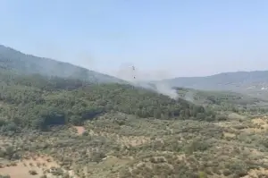 İzmir Kemalpaşa'da orman yangını
