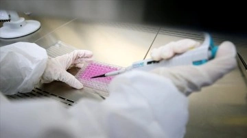 Japon bilgi müşterilerini yaşlılıkla türeyen 'zombi hücrelere' için aşı üretti